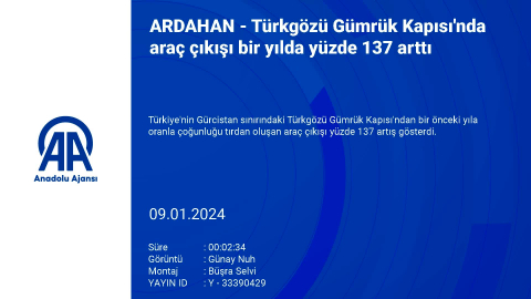 Türkgözü Gümrük Kapısı'nda araç çıkışı bir yılda yüzde 137 arttı