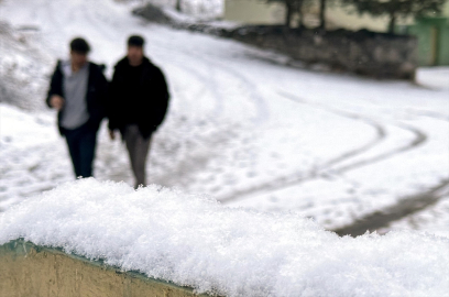 Ardahan'da kar ve sis, Kars'ta kar yağışı etkili oldu