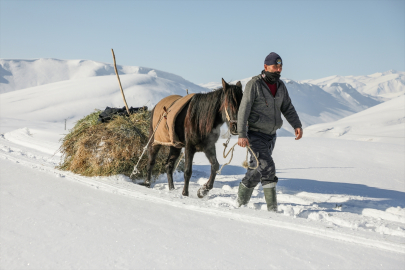 Van&#039;da karla kaplı köylerdeki besiciler zor şartlarda hayvanlarını besliyor