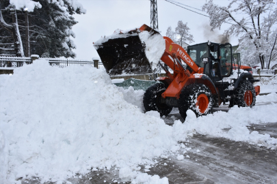 Tatvan'da karla mücadele sürüyor