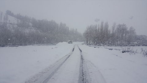 Bingöl, Elazığ ve Şırnak&#039;ta 772 yerleşim yerine ulaşım sağlanamıyor