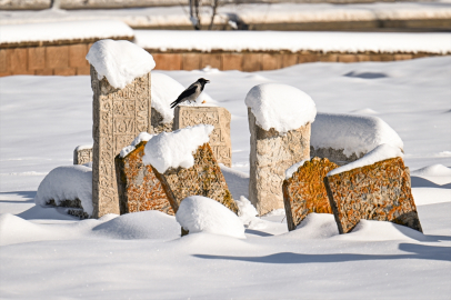 Van'daki Selçuklu Mezarlığı karla kaplandı