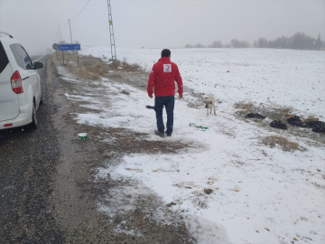 Türk Kızılay Baskil Şubesi sahipsiz hayvanlar için belirli noktalara yiyecek bıraktı