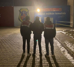 Van'da gözaltına alınan 37 şüpheliden 8'i tutuklandı