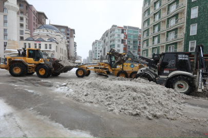 Van&#039;da karla mücadele çalışmaları sürüyor