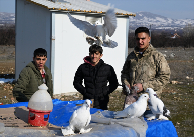 6 ŞUBAT DEPREMLERİNİN BİRİNCİ YILI - Depremzede gençlerin güvercinleri umuda kanat çırpıyor