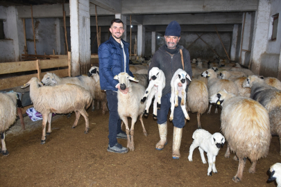 6 ŞUBAT DEPREMLERİNİN BİRİNCİ YILI - Depremzede besiciler devlet desteğiyle üretime devam ediyor