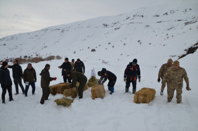 Muş Valisi Çakır, yaban hayvanları için doğaya yem bıraktı