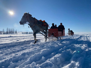 Yüzeyi kar ve buzla kaplı Çıldır Gölü'nde atlı kızak heyecanı sürüyor