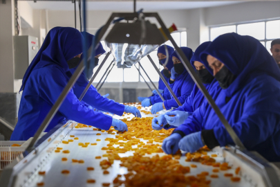 6 ŞUBAT DEPREMLERİNİN BİRİNCİ YILI - Malatya kayısısındaki rekor hedefi şehirdeki umutları da tazeleyecek