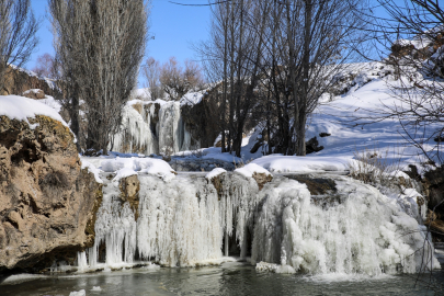 Van&#039;daki Muradiye Şelalesi kısmen dondu