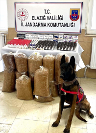 Elazığ'da kaçakçılık operasyonunda 1 şüpheli yakalandı