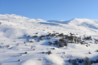 Fotokapanlardan gelen anlık görüntülerle kaçak avlanmayla mücadele ediyorlar