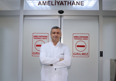 Köpekler kapalı ameliyatla kısırlaştırılmaya başlandı