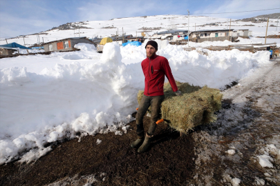 Besiciler çetin kış şartlarında hayvanlarını beslemek için zorlu mesaide