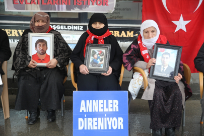 Muşlu ailelerden çocuklarına "teslim olun" çağrısı