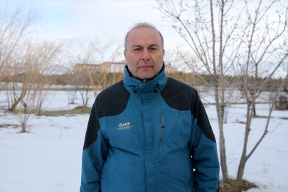 Koruma tedbirleri sayesinde Van&#039;da görülen yaban kazlarının sayısı arttı