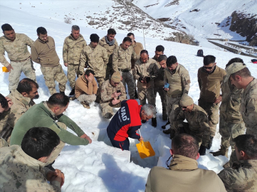 Van&#039;da arama kurtarma eğitimi alan güvenlik korucuları çığ tatbikatı yaptı
