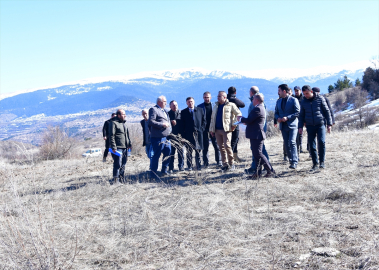 Türkgözü Gümrük Kapısı'ndaki yoğunluğun önlenmesi için tır parkı yapılacak