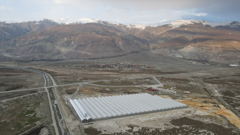 Erzincan’da devlet desteğiyle kurulan jeotermal serada sezonda 1000 ton domates üretilecek