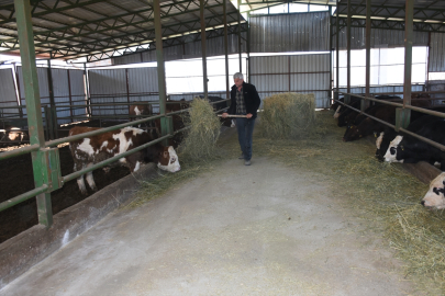 Malatya'da devlet desteklerinden yararlanan besici, hayvan sayısını 12'ye katladı