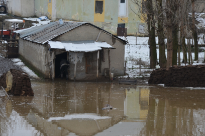 Muş ve Hakkari'de bazı ev ve ahırları su bastı
