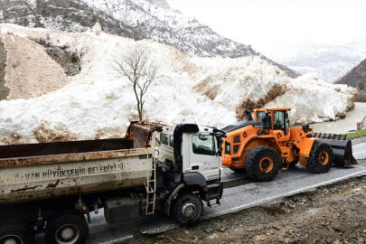 Çığ nedeniyle kapanan Van-Çatak kara yolu açıldı