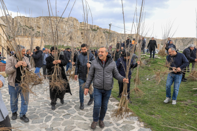 Van&#039;da vatandaşlara ücretsiz fidan dağıtıldı