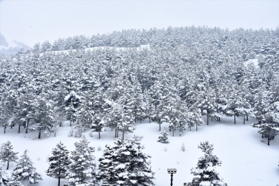 Kayak merkezlerinde en fazla kar kalınlığı Hakkari ve Palandöken&#039;de ölçüldü
