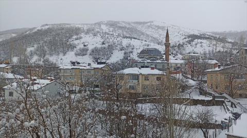 Tatvan&#039;da kar yağışı etkili oldu