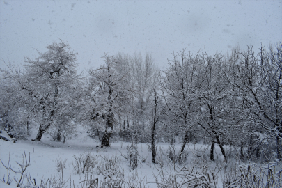 Bitlis&#039;te olumsuz hava koşulları nedeniyle eğitime ara verildi