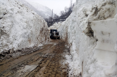 Hakkari'de çığ nedeniyle kapanan yol açıldı