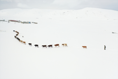 Ağrı&#039;nın kırsal köylerinde baharda "kara kış" yaşanıyor