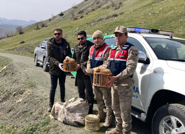 Bitlis&#039;te keklik avlayanlara  106 bin 135 lira para cezası uygulandı