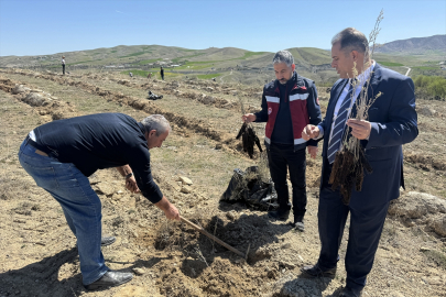 Elazığ'da Amerikan tuz çalısı ile mera ıslah çalışması yapıldı