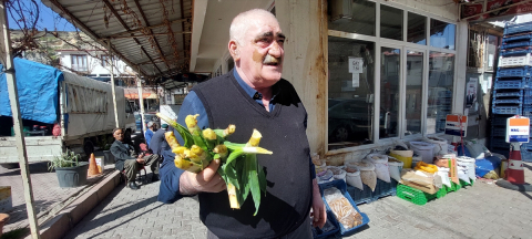 Çemişgezek&#039;te doğada kendiliğinden yetişen çiriş otu tezgahlarda yerini aldı
