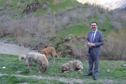 Şemdinli Kaymakamı Ateş, öğrencilerle "can dostlara" mama bıraktı