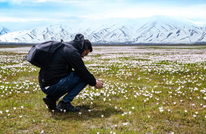 Yüksekova&#039;da çiçek açan çiğdemler doğaya renk kattı