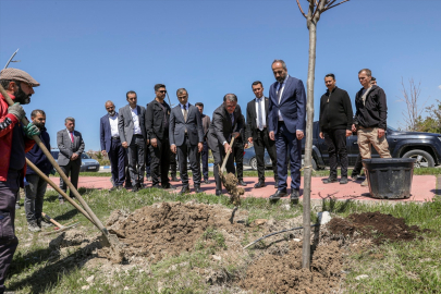 Vali Balcı ve Rektör Şevli, YYÜ yerleşkesinde fidan dikti