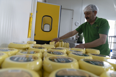 Dede mesleğini devlet desteğiyle birleştirdi, süt ürünleri üretimini artırdı