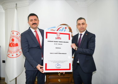 Tunceli&#039;nin yüksek rakımlarında üretilen "Munzur Balı" coğrafi işaret aldı