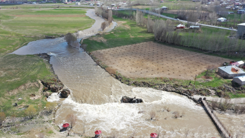 Bu yıl inci kefalleri "gürül gürül" göç edecek
