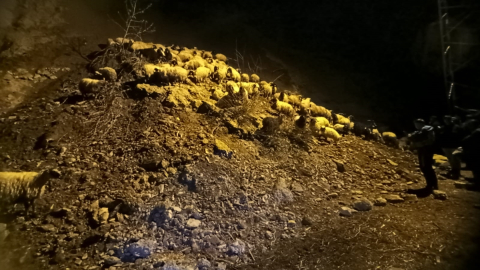 Hakkari'de heyelan nedeniyle küçükbaş hayvanlar toprak altında kaldı