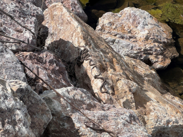 Hakkari&#039;de sürü halindeki yılanlar görenleri şaşırtıyor