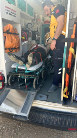 Malatya&#039;da sepetli motosikletin devrilmesi sonucu 2 kişi yaralandı