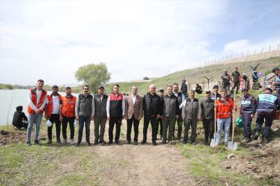 Muş&#039;ta çam fidanları toprakla buluşturuldu