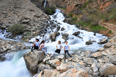 Karların erimesi ve yağışların etkisiyle Van&#039;daki Kanisipi Şelalesi yeniden akmaya başladı