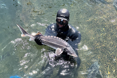 Elazığ, havyar ve Mersin balığında üretim üssü olmaya aday