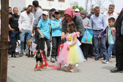 Iğdır&#039;da kuzu, oğlak ve buzağılar "güzellikleriyle" yarıştı
