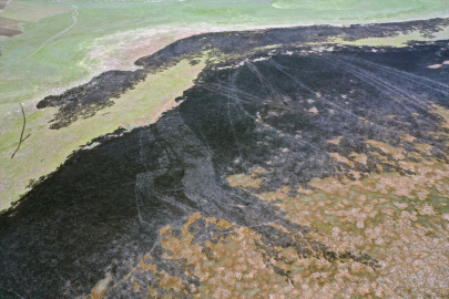 Kuyucuk Gölü&#039;ndeki sazlık alanda çıkan yangın söndürüldü